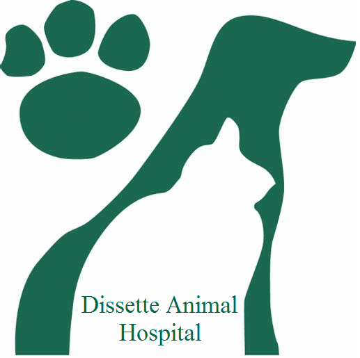 Dissette Animal Hospital